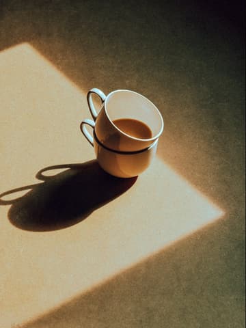 Coffee cup in hard morning light