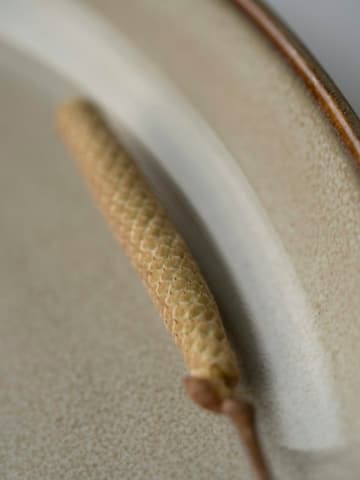 A dried grass stem on a ceramic plate